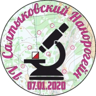 IV Традиционные Соревнования «Салтыковский Нанорогейн 2020» IV Традиционные Соревнования «Салтыковский Нанорогейн 2020»
